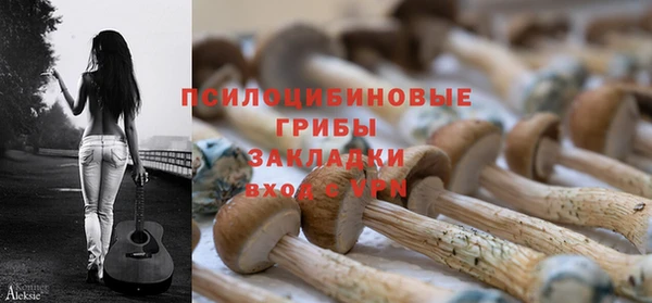 таблы Алексин
