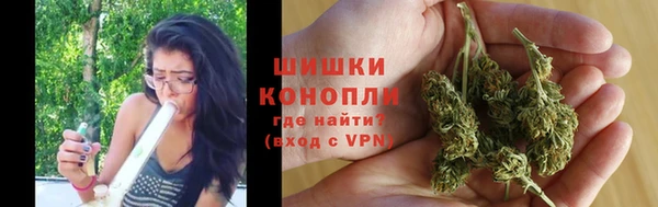 гашик Пестово