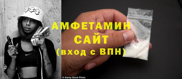 гашик Пестово