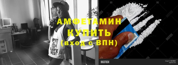 гашик Пестово