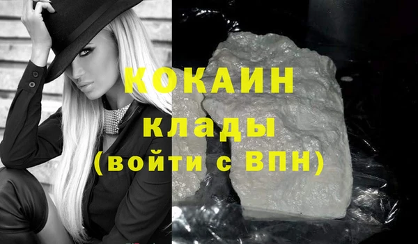 гашик Пестово