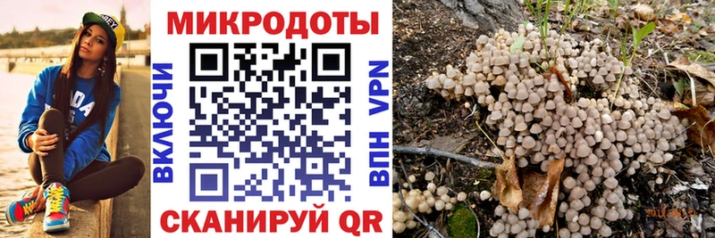 цены   ОМГ ОМГ онион  Псилоцибиновые грибы GOLDEN TEACHER  Севастополь 