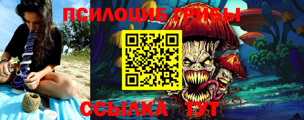 Псилоцибиновые грибы Psilocybine cubensis Севастополь