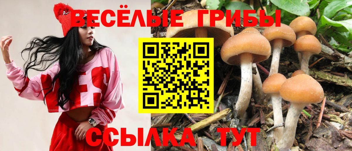 Галлюциногенные грибы ЛСД  Вход с VPN  Севастополь 